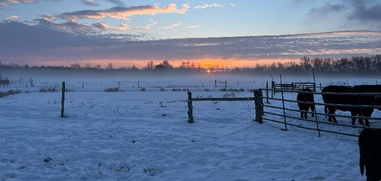 sunsetting over a field covered in snow