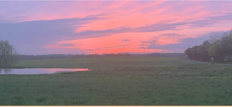 sunset over a green field and pond