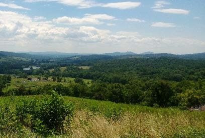 view of the Blue Ridge mountains, green hills and trees in the foreground 